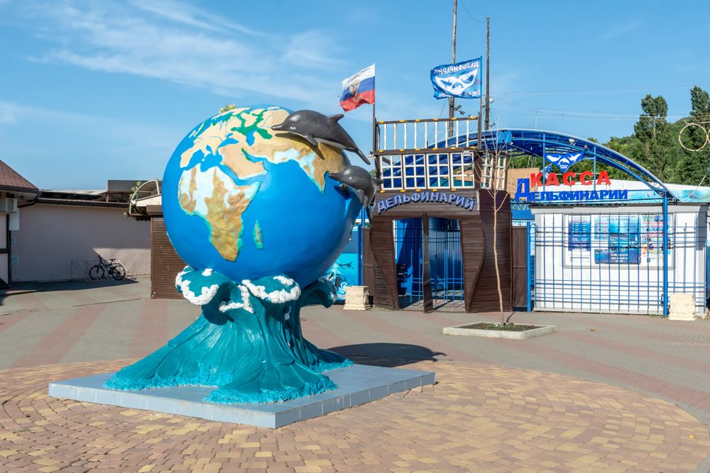 Attraction Gelendzhik for children and adults - dolphinarium