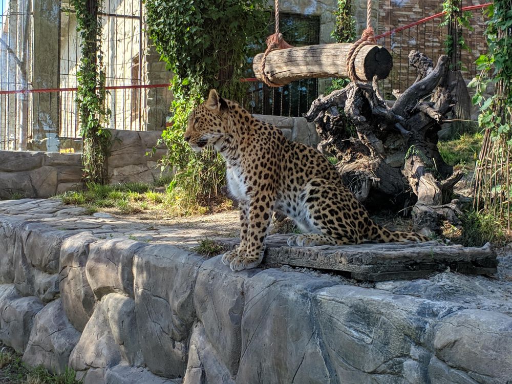 The Safari Park residents are waiting for visitors