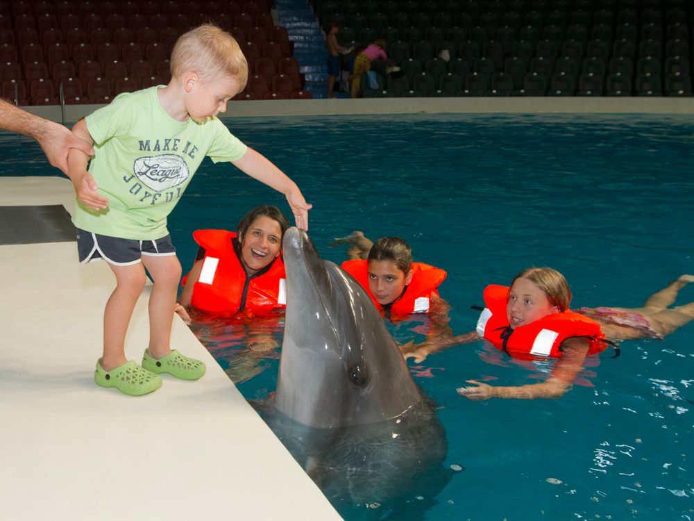 Kids can interact with dolphins at Dolphin Bay